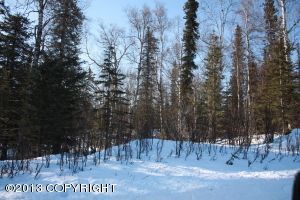 13818 E Wilderness Lane, Palmer, AK 99645