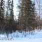 13818 E Wilderness Lane, Palmer, AK 99645 ID:1513787