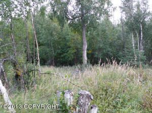 23199 E Knik River Road, Palmer, AK 99645