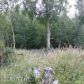 23199 E Knik River Road, Palmer, AK 99645 ID:1514020