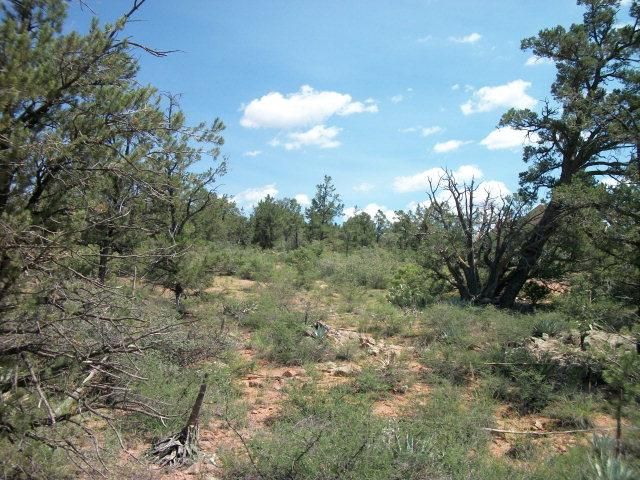 403 N Whitetail Dr, Payson, AZ 85541