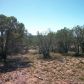 0 N. Earhart Parkway, Payson, AZ 85541 ID:1591211