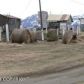 12780 E Archie Road, Palmer, AK 99645 ID:1513000