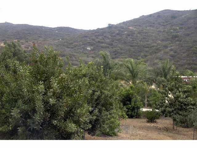 16882 Old Survey Rd, Escondido, CA 92025