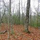 14 Trails End Ridge, Ellijay, GA 30540 ID:2459080