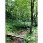 181 Branch Creek Road, Blue Ridge, GA 30513 ID:1530728