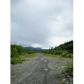 Lot 35 Cache Creek Recreational, Trapper Creek, AK 99683 ID:1383808