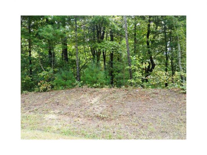 0 Lot 9  Robert Drive, Ellijay, GA 30540