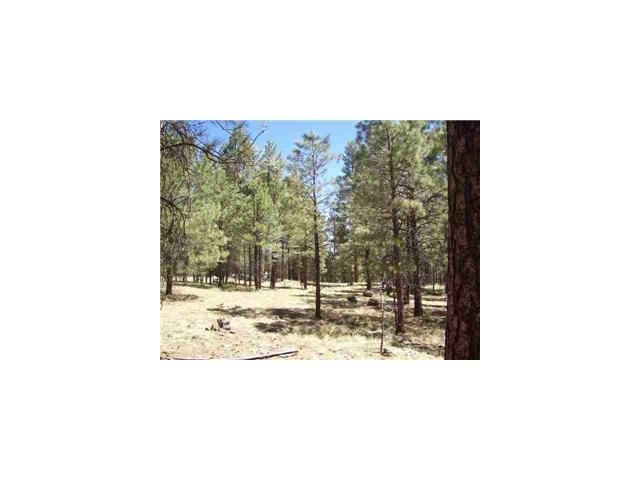 1C Coconino Forest Rd137A Parcel 4, Payson, AZ 85541