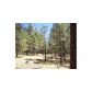 1C Coconino Forest Rd137A Parcel 4, Payson, AZ 85541 ID:1932508