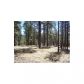 1C Coconino Forest Rd137A Parcel 4, Payson, AZ 85541 ID:1932509