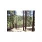 1C Coconino Forest Rd137A Parcel 4, Payson, AZ 85541 ID:1932514