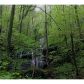 79 Utana Bluffs Trail, Ellijay, GA 30540 ID:5848436