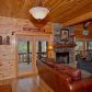 709 Riverfront Drive, Ellijay, GA 30536 ID:2630461