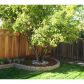 6629 Mount Wellington Dr, San Jose, CA 95120 ID:1138421