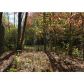 25 Clear Creek Valley Drive, Ellijay, GA 30536 ID:4325439