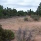 1013-1101 N. Beeline Highway, Payson, AZ 85541 ID:1591356