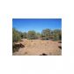 0 Beech Pkwy, Payson, AZ 85541 ID:1591223