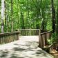 25 Briar Creek Dr, Ellijay, GA 30540 ID:480840