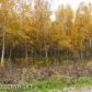 6520 N Bush Road, Palmer, AK 99645 ID:1513909