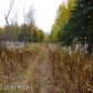 6520 N Bush Road, Palmer, AK 99645 ID:1513912