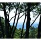 1010 Cherokee Trail, Ellijay, GA 30536 ID:2629832