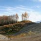 774 S Tundra Flower, Palmer, AK 99645 ID:1514200