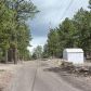 34461 Whispering Pines Trail, Pine, CO 80470 ID:1106331