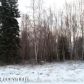 4905 S Bodenburg Spur, Palmer, AK 99645 ID:5536521