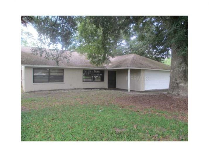 23631 Downs Pl, Land O Lakes, FL 34639