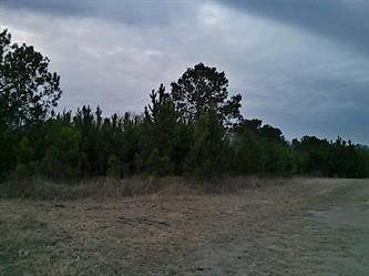 Lot 1- 5 Daisy Rd Apn# 0720002201, Loris, SC 29569