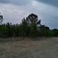 Lot 1- 5 Daisy Rd Apn# 0720002201, Loris, SC 29569 ID:5900710