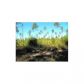 LOT 11 HICKORY RIDGE ESTATES, Leesville, LA 71446 ID:3095787