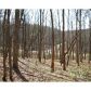 49 St Andrews Way, Ellijay, GA 30536 ID:2401668