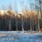 2265 E Sage Road, Wasilla, AK 99654 ID:3025794