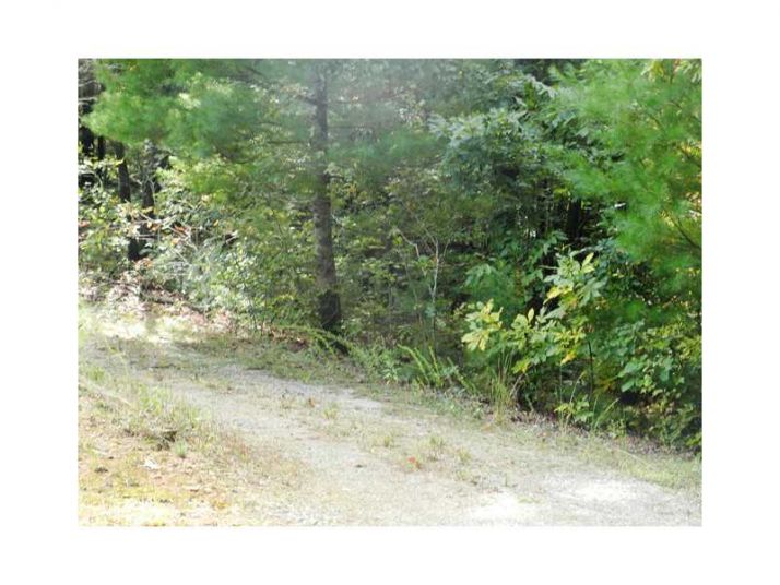 0 Lot 10  Robert Drive, Ellijay, GA 30540