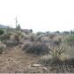 0000 N Cholla Dr., Golden Valley, AZ 86413 ID:5056566