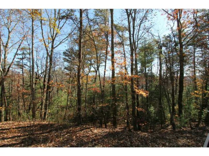 0 Fall Circle, Ellijay, GA 30540