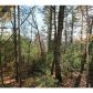 0 Fall Circle, Ellijay, GA 30540 ID:4104825