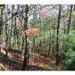 0 Fall Circle, Ellijay, GA 30540 ID:4104827