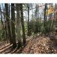 0 Fall Circle, Ellijay, GA 30540 ID:4104829