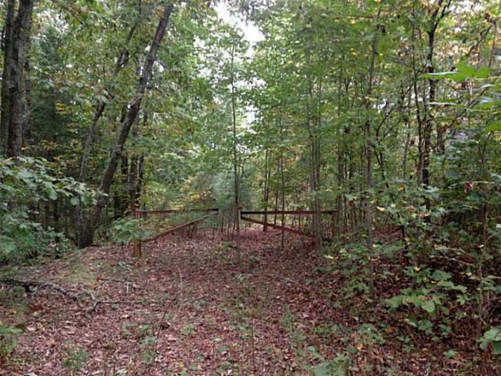 0 Roundtop Road, Ellijay, GA 30540