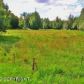 12700 E Scott Road, Palmer, AK 99645 ID:1512693