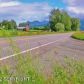 12700 E Scott Road, Palmer, AK 99645 ID:1512697