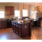 1723 Great Shoals Circle, Lawrenceville, GA 30045 ID:3508443