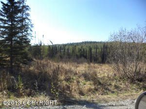 12404 S Goose Creek Road, Wasilla, AK 99654