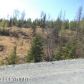 12404 S Goose Creek Road, Wasilla, AK 99654 ID:3025756