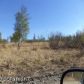 12404 S Goose Creek Road, Wasilla, AK 99654 ID:3025757