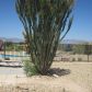 35119 S US HIGHWAY 93 --, Wickenburg, AZ 85390 ID:1582059