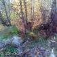 1800 S High Road, Palmer, AK 99645 ID:1514161